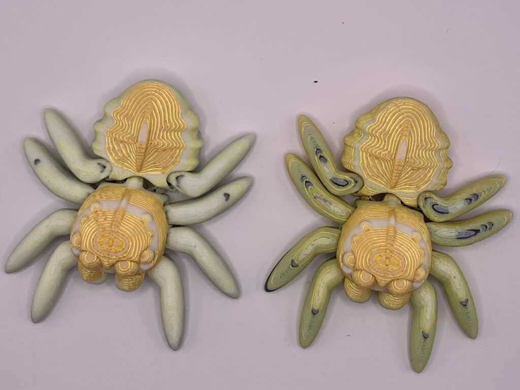 Mystery Spider