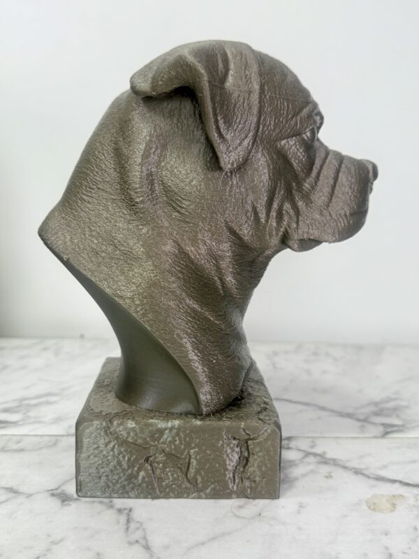 Rottweiler Bust - Image 3