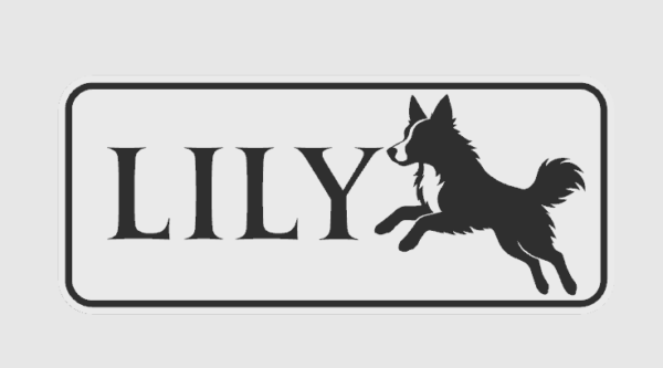 Custom Dog Name Plates 🐾✨ - Image 2
